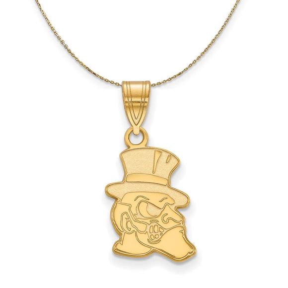 14k Yellow Gold Wake Forest U. Medium Necklace - 22 Inch - Picture 1 of 7